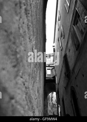 Siena - Toskana - Italien - Massimiliano Scarpa Fotograf Stockfoto