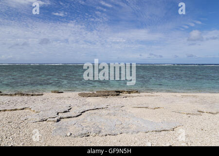 Ein Strand mit Korallen auf Lady Elliot Island in Queensland, Australien Stockfoto