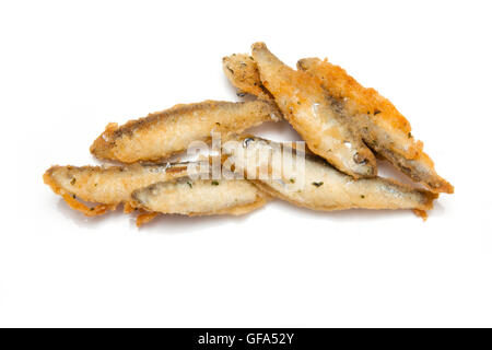 Angeschlagenen Sardellenfang Sprotten (Sprattus Sprattus) isoliert auf einem weißen Studio-Hintergrund. Stockfoto