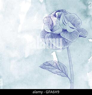 Gezeichnete Karte der Hand mit Rose auf blaues Papierhintergrund Stock Vektor