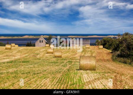 Ballen Heu oder Stroh entlang des Ozeans in ländlichen Prince Edward Island, Canada Stockfoto