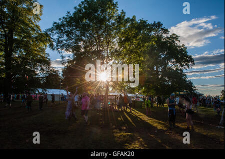 Lowther Deer Park, Lake District, Großbritannien. 30. Juli 2016. Kendal Aufruf Musik Festival, Cumbria, 29h Juli 2016, Crowd. Credit: WittWooPhoto / Alamy Live News Stockfoto