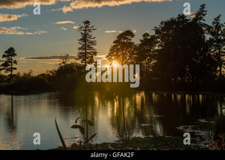 Lowther Deer Park, Lake District, Großbritannien. 30. Juli 2016. Kendal Aufruf Musik Festival, Cumbria, 29h Juli 2016, das VIP-Seengebiet. Credit: WittWooPhoto / Alamy Live News Stockfoto