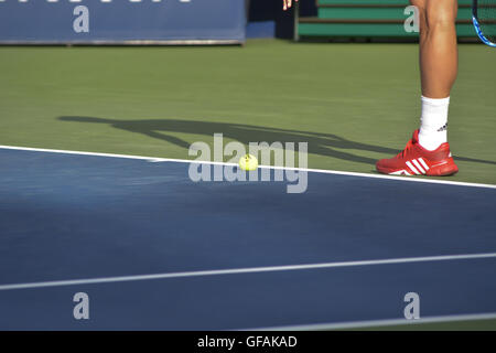 Toronto, Ontario, Kanada. 29. Juli 2016. Novak Djokovic gegen Tomas Berdych aus Tschechien in ihrem Viertel Finale Spiel des Rogers Cup Turnier im Aviva Centre in Toronto, Ontario, Kanada am 29. Juli 2016 Serbiens Credit: Joao Luiz De Franco/ZUMA Draht/Alamy Live News Stockfoto