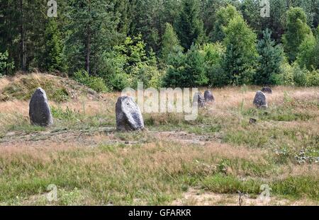 Tratkownica, Polen. , . Sonnigen und warmen Tag im nördlichen Polen Dorf von Tratkownica es gibt guten Grund zu besuchen alte, mysteriöse Friedhof in Tratkownica. Dem Friedhof in Tratkownica durch die Goten im ersten Jahrhundert nach Christus gegründet. Goten kam der kaschubischen Seenplatte aus Skandinavien, mit sich bringt neue Beerdigung Strukturen - Steinhügel umgeben von Kränzen. Zwischen den Hügeln waren Kreise die großen Felsbrocken in die Versammlungen und Gerichte statt. Zwischen den Hügeln waren auch verbrannt und Skelett-Gräber mit verbrannten Knochen. Bildnachweis: Michal Fludra/Alamy Live-Nachrichten Stockfoto