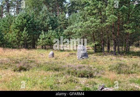 Tratkownica, Polen. , . Sonnigen und warmen Tag im nördlichen Polen Dorf von Tratkownica es gibt guten Grund zu besuchen alte, mysteriöse Friedhof in Tratkownica. Dem Friedhof in Tratkownica durch die Goten im ersten Jahrhundert nach Christus gegründet. Goten kam der kaschubischen Seenplatte aus Skandinavien, mit sich bringt neue Beerdigung Strukturen - Steinhügel umgeben von Kränzen. Zwischen den Hügeln waren Kreise die großen Felsbrocken in die Versammlungen und Gerichte statt. Zwischen den Hügeln waren auch verbrannt und Skelett-Gräber mit verbrannten Knochen. Bildnachweis: Michal Fludra/Alamy Live-Nachrichten Stockfoto