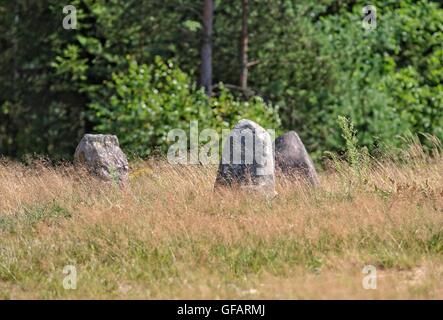 Tratkownica, Polen. , . Sonnigen und warmen Tag im nördlichen Polen Dorf von Tratkownica es gibt guten Grund zu besuchen alte, mysteriöse Friedhof in Tratkownica. Dem Friedhof in Tratkownica durch die Goten im ersten Jahrhundert nach Christus gegründet. Goten kam der kaschubischen Seenplatte aus Skandinavien, mit sich bringt neue Beerdigung Strukturen - Steinhügel umgeben von Kränzen. Zwischen den Hügeln waren Kreise die großen Felsbrocken in die Versammlungen und Gerichte statt. Zwischen den Hügeln waren auch verbrannt und Skelett-Gräber mit verbrannten Knochen. Bildnachweis: Michal Fludra/Alamy Live-Nachrichten Stockfoto