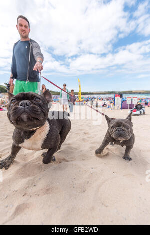 Harlyn Bay, in der Nähe von Padstow, Cornwall, UK. 31. Juli 2016. Schöner sonniger Tag in Cornwall, Bild sind Harry & Larry ein Spiel im Sand Harlyn Bay, Harlyn Bay, Cornwall, UK Sonntag, 31. Juli 2016, Wetter des Tages zu genießen. Bildnachweis: @camerafirm/Alamy Live News Stockfoto