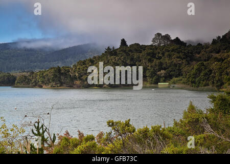 Crystal Springs, San Mateo County, Kalifornien Stockfoto