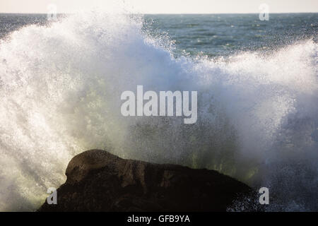 Kräftige Wellen aus dem Pazifischen Ozean Absturz gegen Felsen auf die dramatische Sonoma Coast malerische Nordkaliforniens. Stockfoto