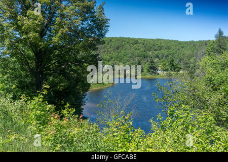 Naturerlebnisse Ontario Kanada-Natur Stockfoto