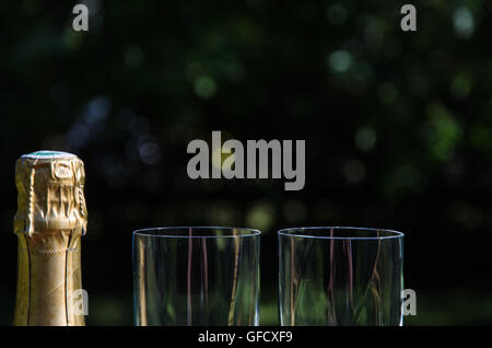 Ungeöffnete Flasche Champagner mit zwei Gläsern durch einen dunklen Hintergrund Stockfoto