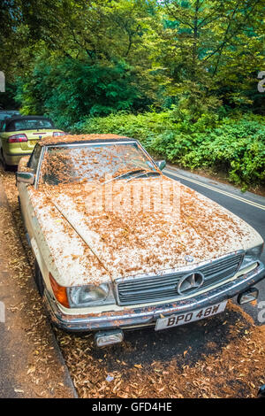 Ein verlassene Mercedes bedeckt in den Blättern in einer ruhigen Straße von London, UK Stockfoto