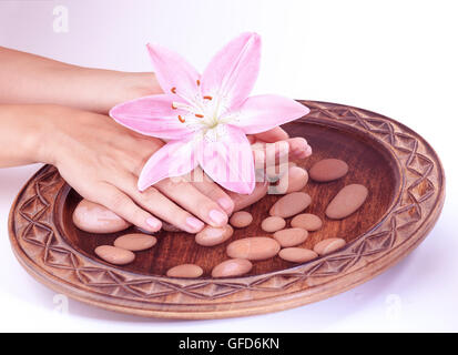 Nahaufnahme Foto von Hand einer Frau, die rosa Lilie Blume und berühren Kiesel im Wasser, auf hellen Hintergrund isoliert Stockfoto