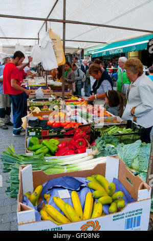 Obst Hersteller Stall im Flohmarkt. Ribadesella, Asturien, Spanien. Stockfoto