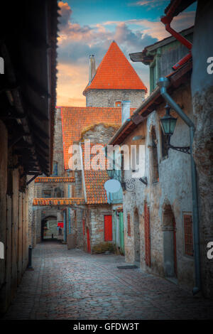 St. Katharinen Passage in Tallinn, Estland. mittelalterliche Stadt in Europa Stockfoto