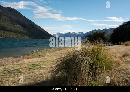 An den Ufern der Seen Mavora schafft niederschlagsarme Tussock-Grasland in der Südalpen Neuseelands. Stockfoto