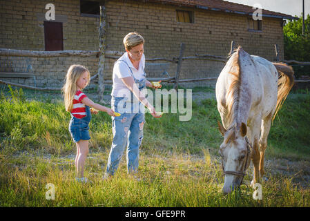 Mutter und Tochter, die Fütterung eines Pferdes eines Apfels im Gestüt. Stockfoto