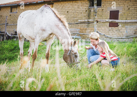 Mutter und Tochter, die Fütterung eines Pferdes eines Apfels im Gestüt. Stockfoto