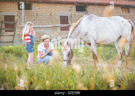 Mutter und Tochter, die Fütterung eines Pferdes eines Apfels im Gestüt. Stockfoto