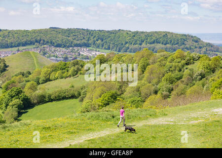 Frühling Cam lange hinunter blickt Cam Peak auf die Cotswold Weg, Gloucestershire, England, UK Stockfoto