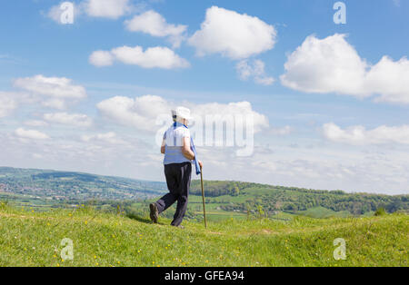 Frühling gehen auf Cam Long Down auf die Cotswold Weg, Gloucestershire, England, UK Stockfoto