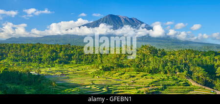Panorama-Landschaft des Gunung Agung Vulkan und Reis Bereich Terrasse, Bali, Indonesien