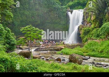 Tegalalang Wasserfall in der Nähe von Ubud, Bali, Indonesien Stockfoto