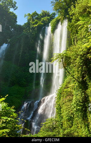 Sekumpul Wasserfall, Bali, Indonesien Stockfoto