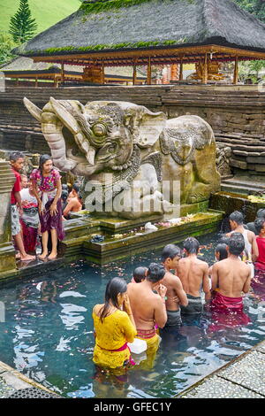 Bad in Tampaksiring Heiligen Quelle, Pura Tirta Empul Tempel, Bali, Indonesien Stockfoto