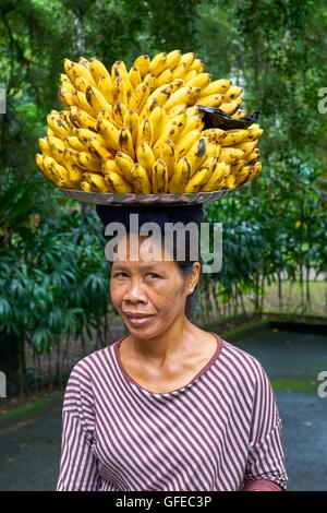 Porträt von lokalen Frau verkaufen Bananen, Bali, Indonesien Stockfoto