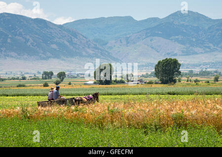 Landschaft in der Nähe von Korca, im Südosten Albaniens, Stockfoto