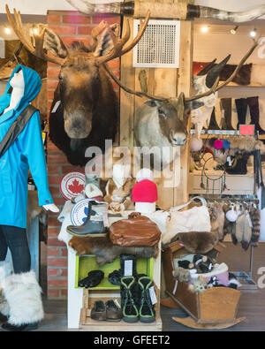 Kanadische Pelzwaren - einschließlich Kopf Reittiere, Stiefel und Zubehör - auf dem Display in einem Geschäft (Bilodeau) in Quebec City, Kanada Stockfoto