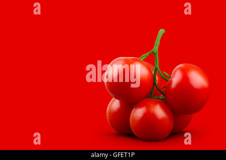 Ein Bündel von Tomaten mit grünem Stiel auf rotem Grund. Horizontale, front Ansicht. Stockfoto