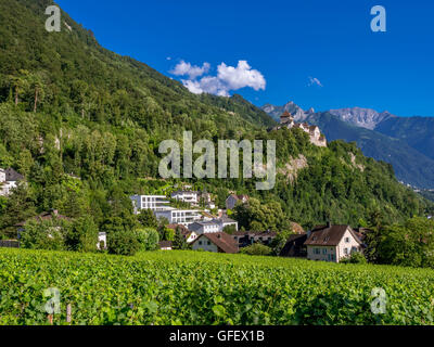 Schloss Schloss Vaduz, Fürstentum Liechtenstein, Europa Stockfoto