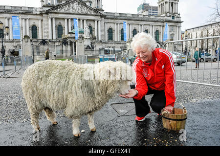 28. April 2013, Belfast, Nordirland. Dame Mary Peters, begleitet von Herrn Bürgermeister Gavin Robinson, Herdd Schafe durch Belfast nach Freiheit der Stadt gewährt wird. Stockfoto