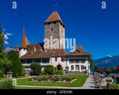 Schloss Spiez, Thunersee, Berner Oberland, Bern, Schweiz, Europa Stockfoto