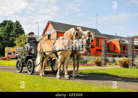 Ballymena, Nordirland. 7. August 2014 - bespannten Wagen Fahrt durch Ahoghill Stockfoto