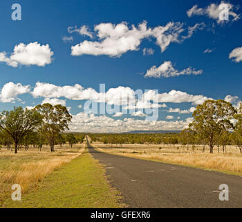Langen, geraden Straße durch goldenen Wiesen & Eukalyptus-Wäldern von Outback Australien zum fernen Horizont unter blauem Himmel Stockfoto