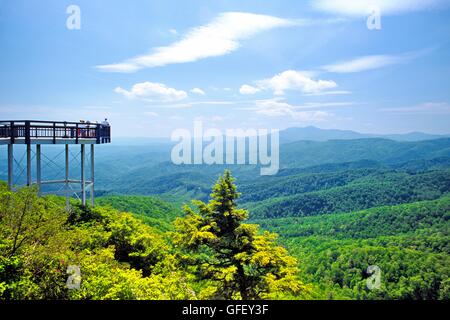 Pisgah National Forest umgibt Blowing Rock übersehen Aussichtspunkt über Johns River Gorge, North Carolina, USA Stockfoto