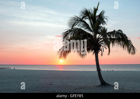 Sonnenuntergang auf der Insel Aruba am Eagle Beach in der Karibik Stockfoto