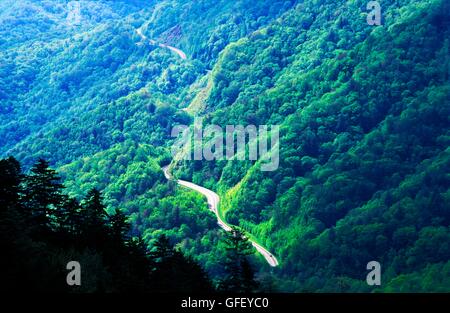 Great Smoky Mountains Nationalpark, Appalachian Range, North Carolina, USA. Osten über Wald Waldbäume von Newfound Gap Stockfoto