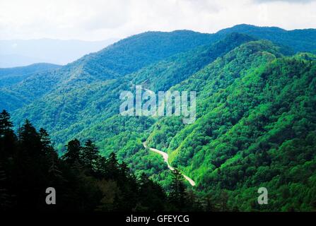 Great Smoky Mountains Nationalpark, Appalachian Range, North Carolina, USA. Osten über Wald Waldbäume von Newfound Gap Stockfoto