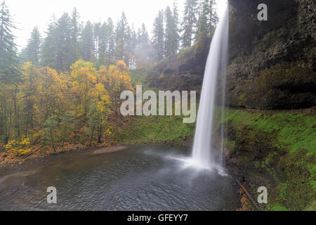 Süden fällt bei Silver Falls State Park in Oregon im Herbst einen nebligen Morgen Stockfoto