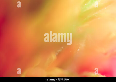 Hintergrund in glücklichen Farben Stockfoto