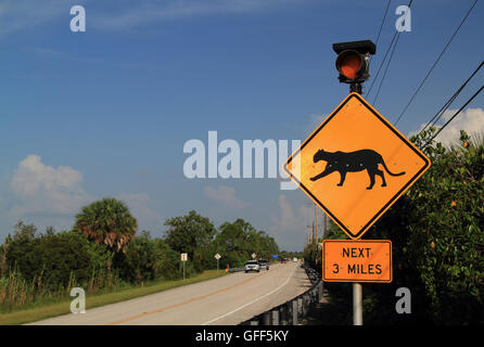 Der Tamiami Trail als es kreuzt die große Big Cypress Swamp in den Florida Everglades Stockfoto