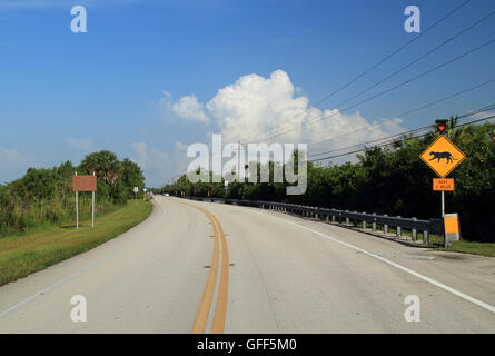 Der Tamiami Trail als es kreuzt die große Big Cypress Swamp in den Florida Everglades Stockfoto