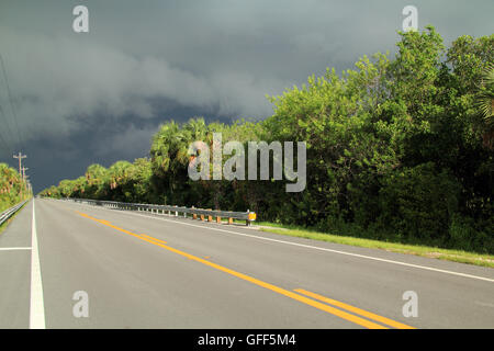 Der Tamiami Trail als es kreuzt die große Big Cypress Swamp in den Florida Everglades Stockfoto