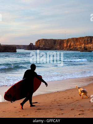 Surfer mit einem lustigen Hund wandern bei Sonnenuntergang am Strand Stockfoto