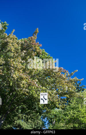 Begin zwei weg drehen Schild mit Bäumen und blauen Himmel Stockfoto
